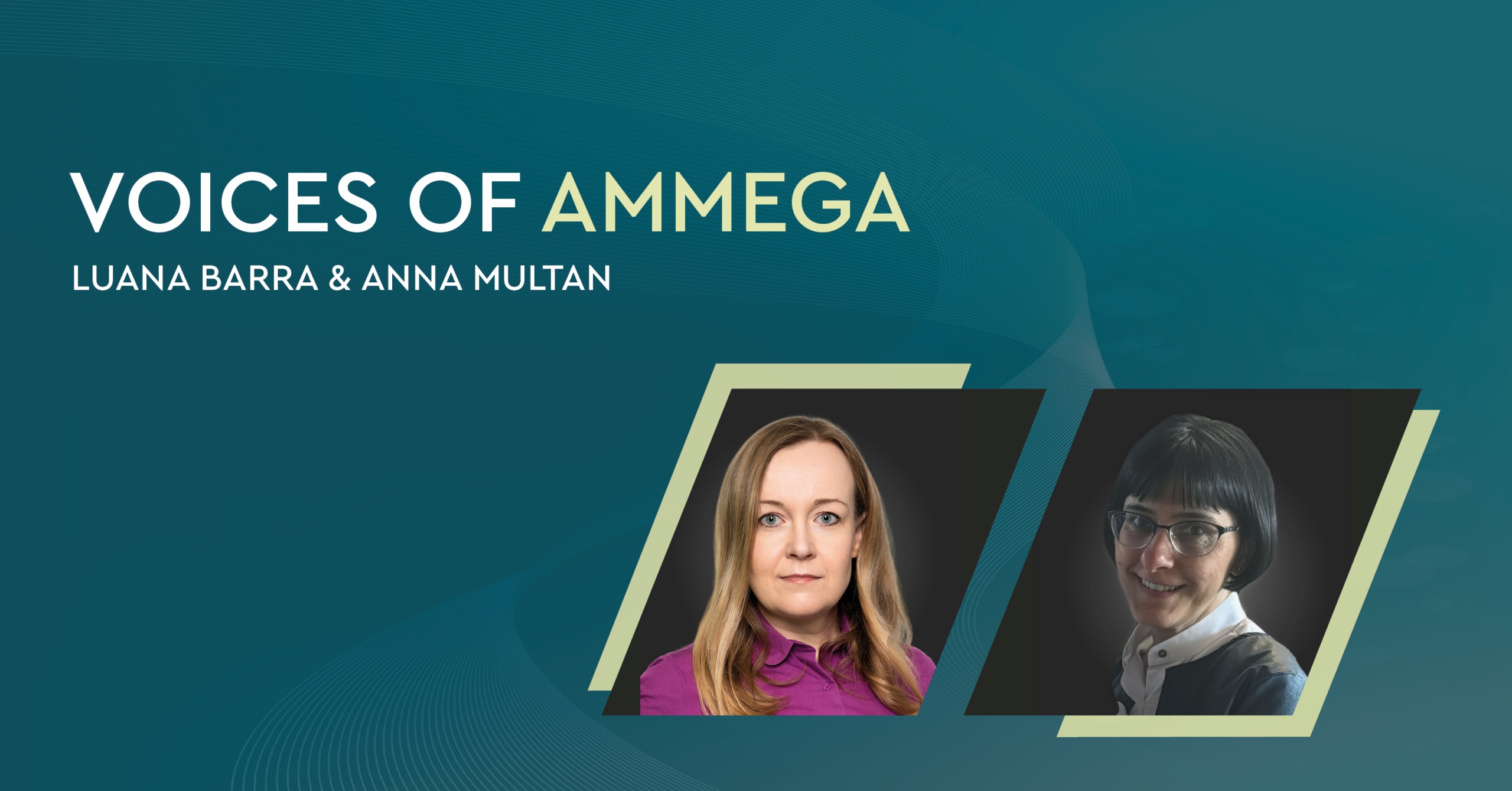 voices of ammega banners2