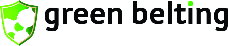 green belting logo